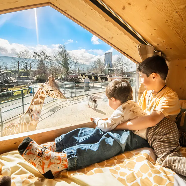 giraffen lodge